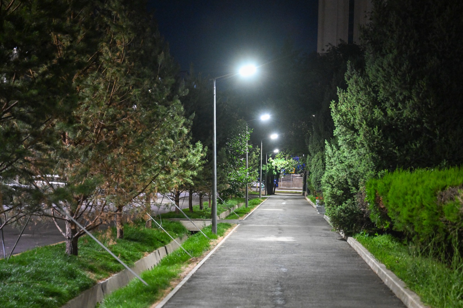 Алматы выходит из сумрака: итоги инфраструктурного года