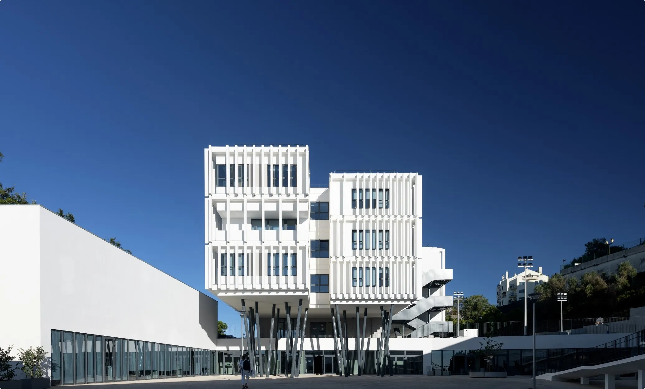 Park International School