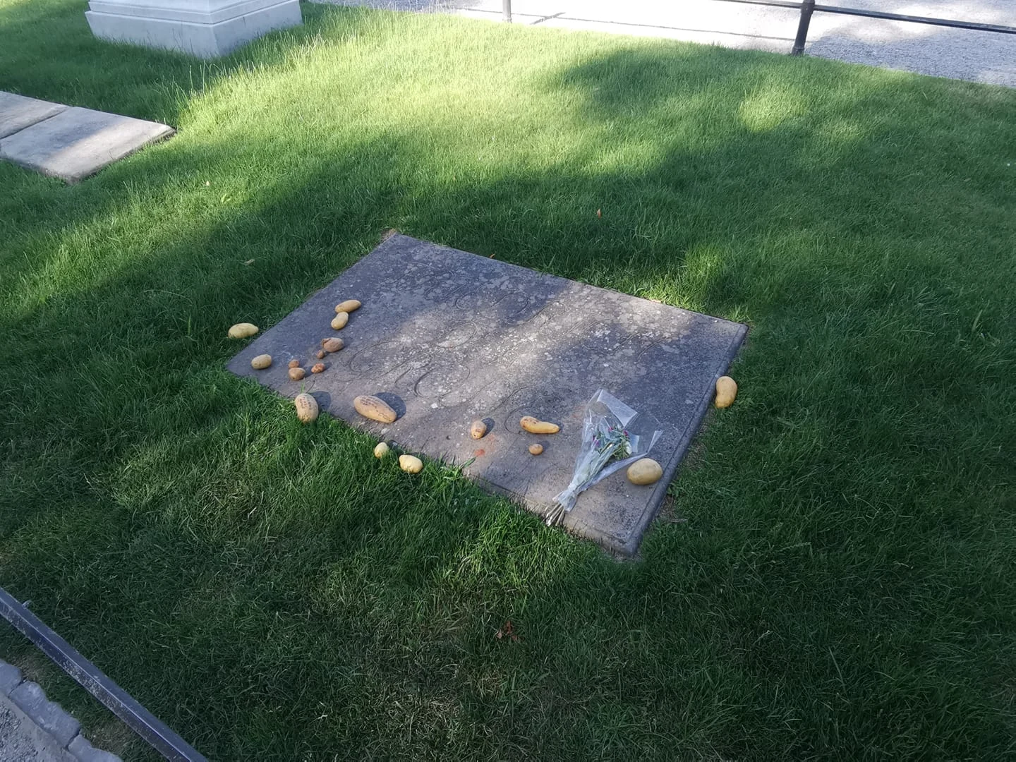 Бесплатная картошка в Потсдаме