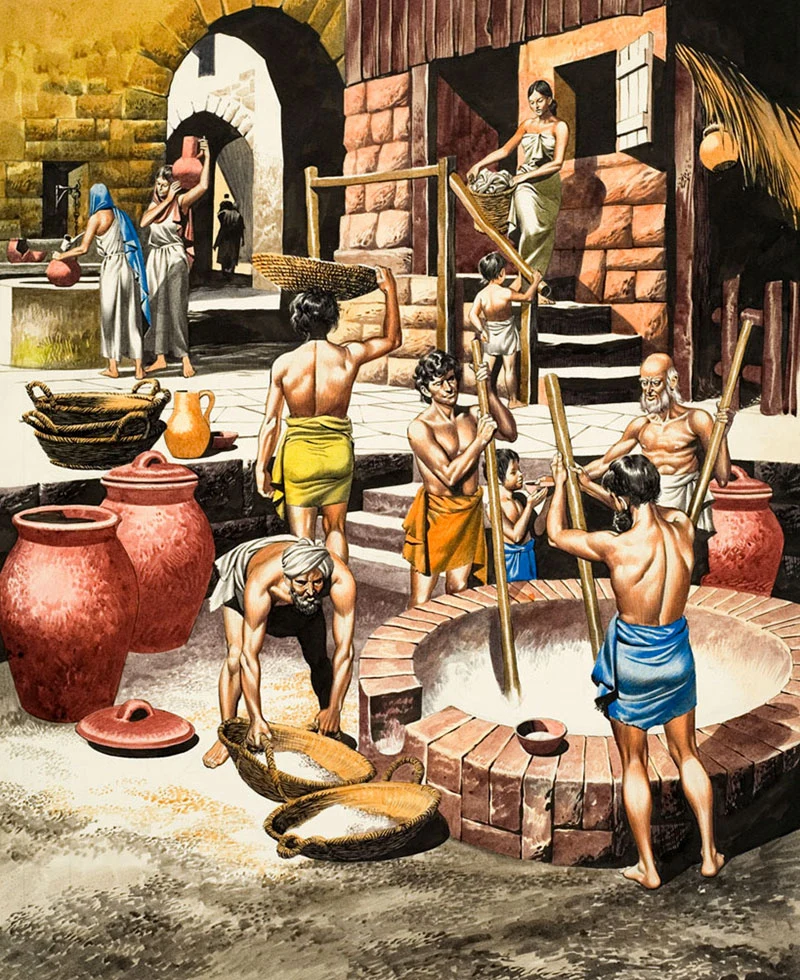 Краткая история Хараппской цивилизации и её жизнеустройства