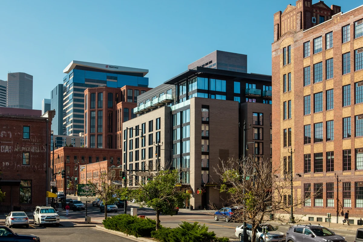 jns_the-maven_aia-finals_05_web