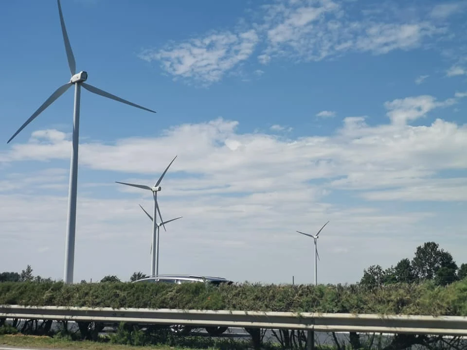 Пасторальная Европа