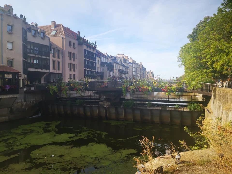 Париж откровенно разочаровал