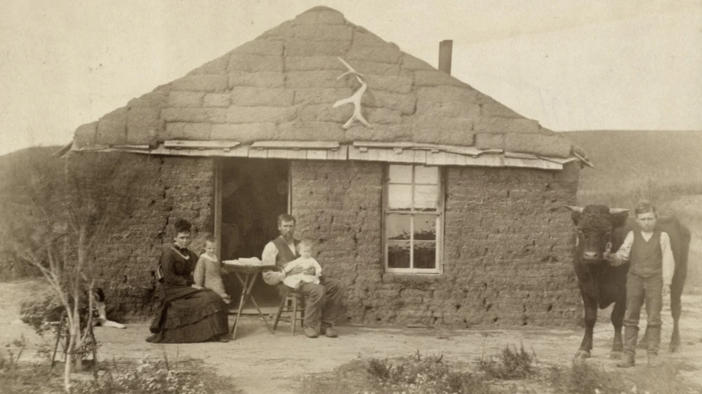 1883 год, штат Небраска. Типичный для пионеров дом из дерна, бык вместо собаки.Источникфото.