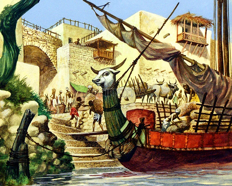 Воссоздание картин торговых операций в Хараппской цивилизации