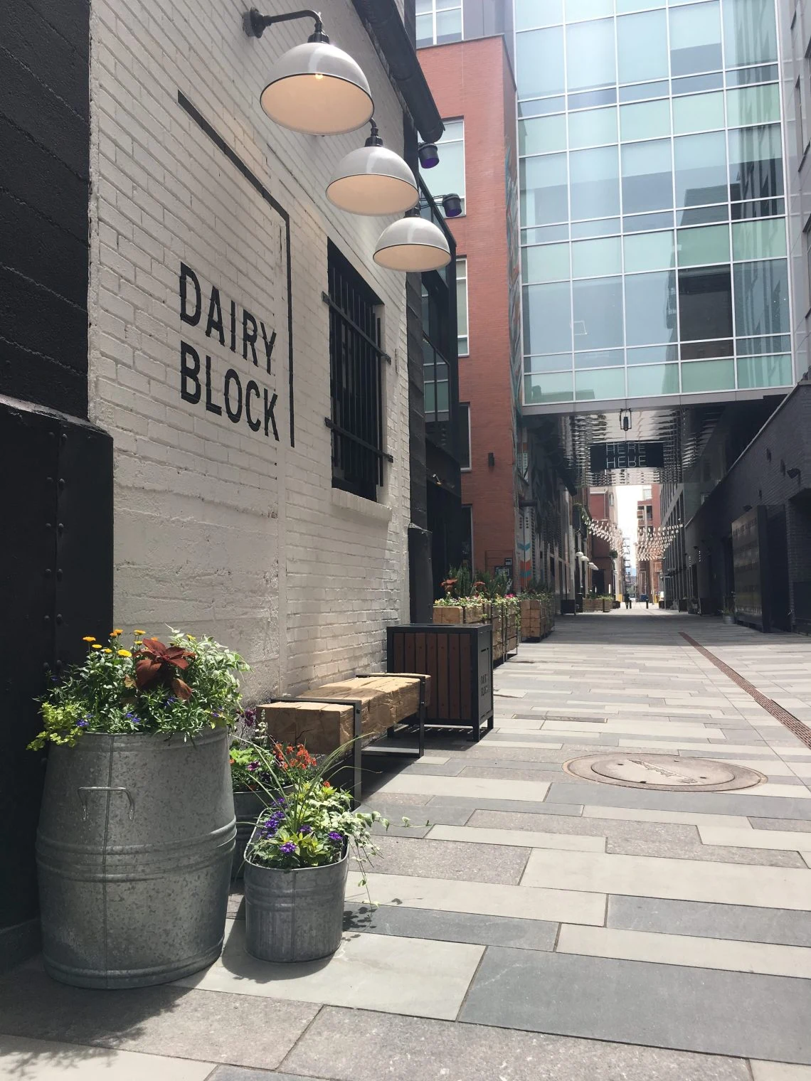 IMG_1924-1-e1528322752602