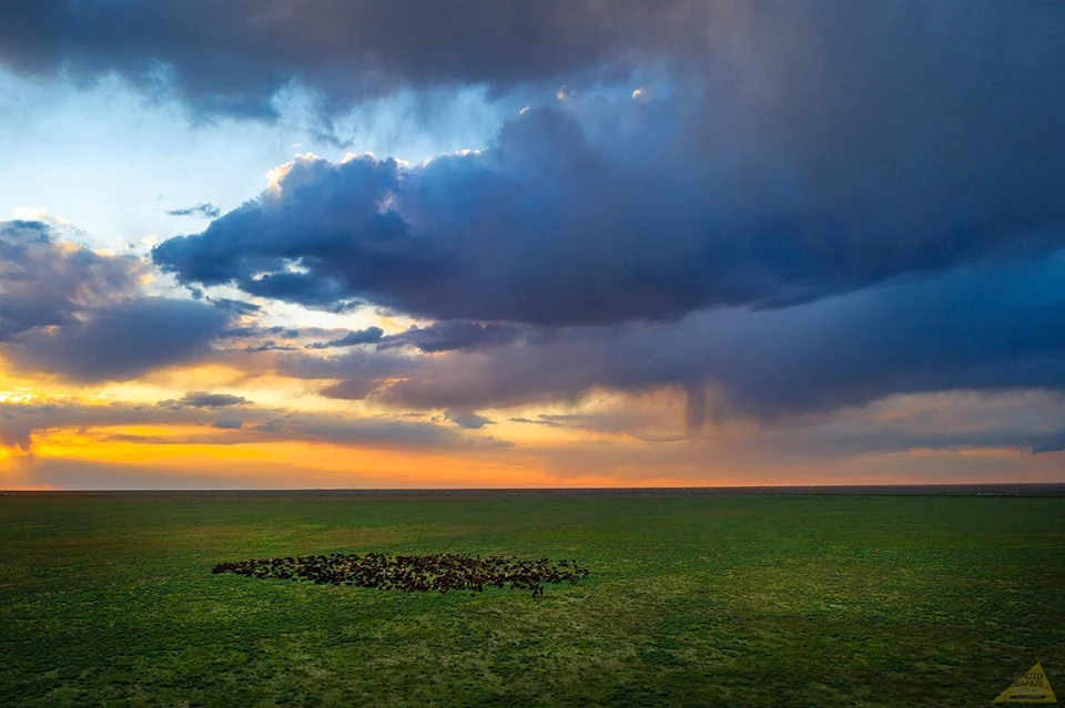 Закат в степях Южного Казахстана.