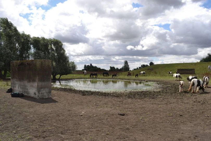 Все, что сейчас осталось от испытательного трека на воздушной подушке длиной в одну милю, — это три бетонные стойки, которые выступают из поля у реки в сельской местности Кембриджшира.