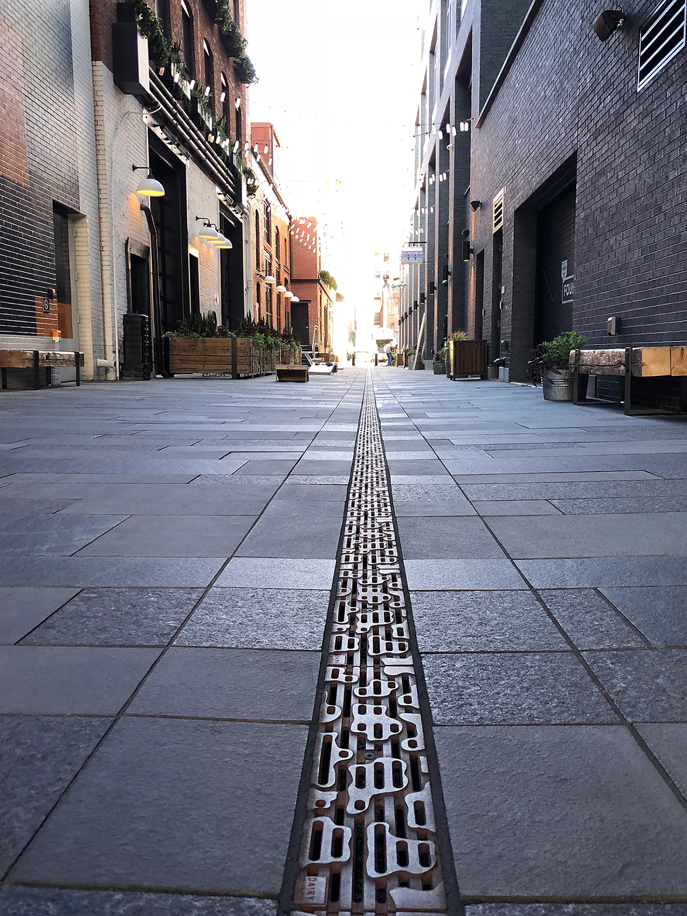 Dairy_Block_5x20_Trench_1_E (1)