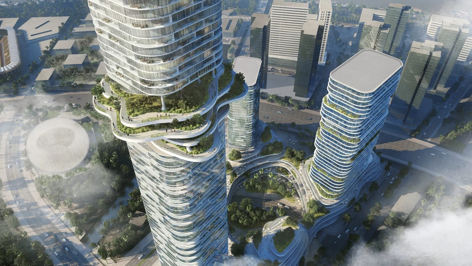 «Небесный лес» Вьетнама