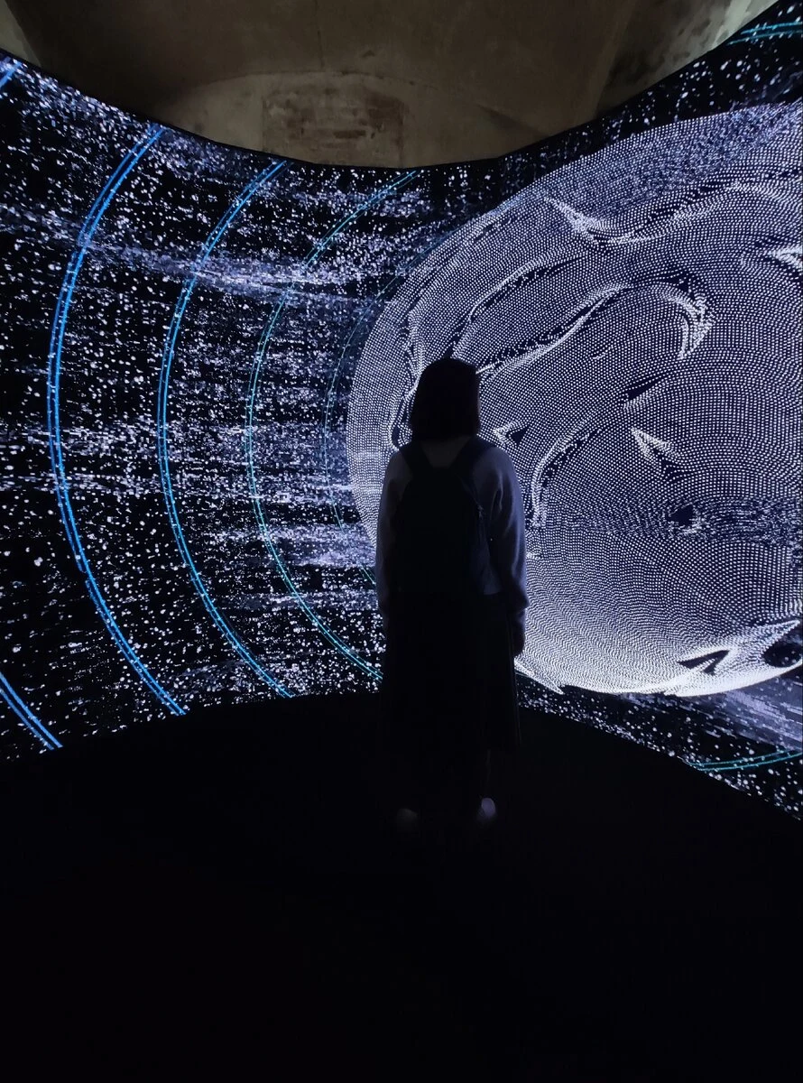 Камила и современное искусство