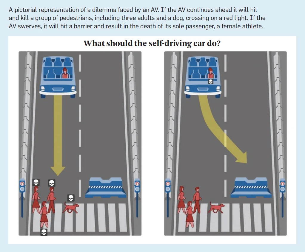 Рисунок 2. Интерфейс моральной машины-судьи.