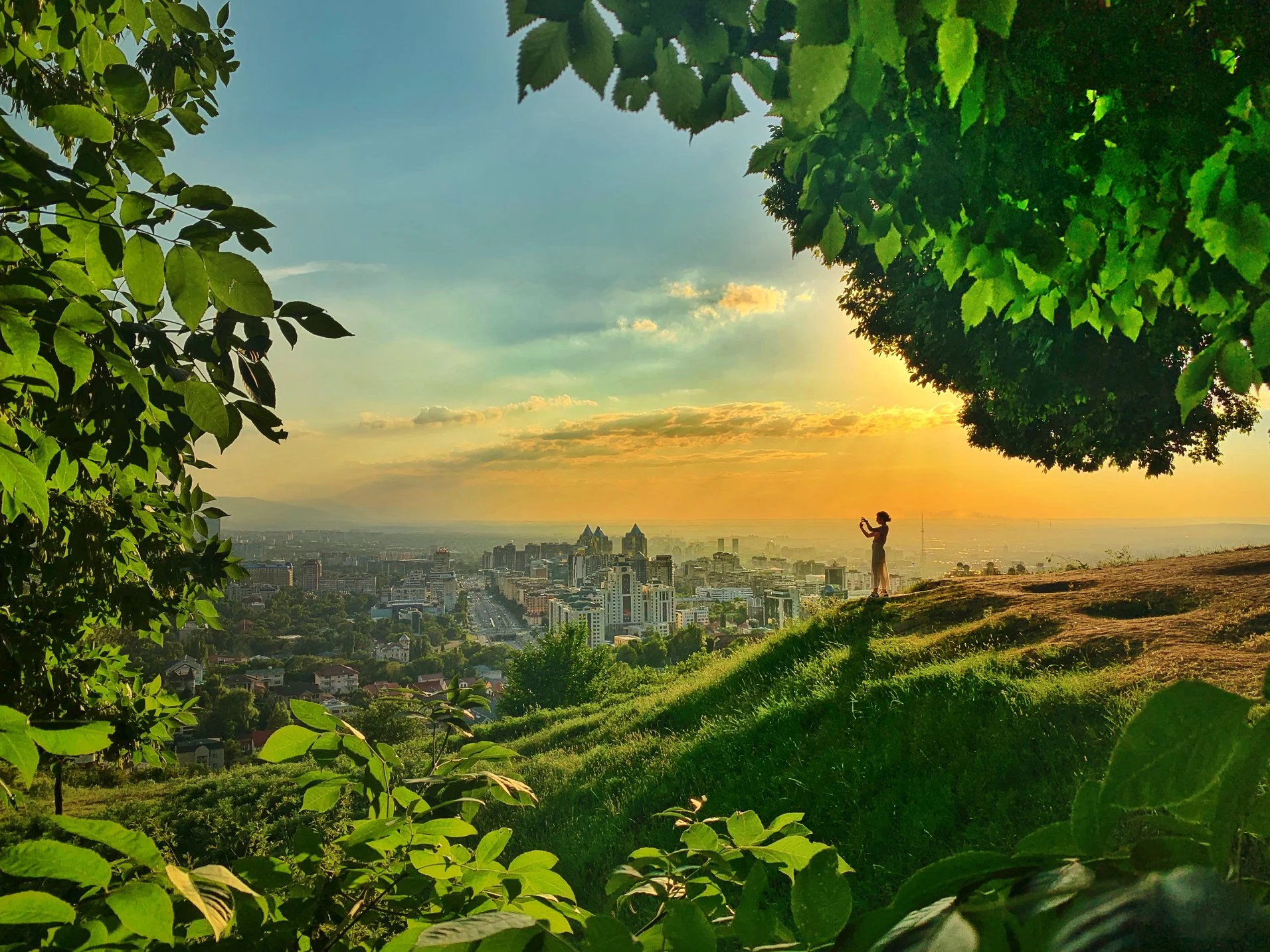 Зарисовки 2019