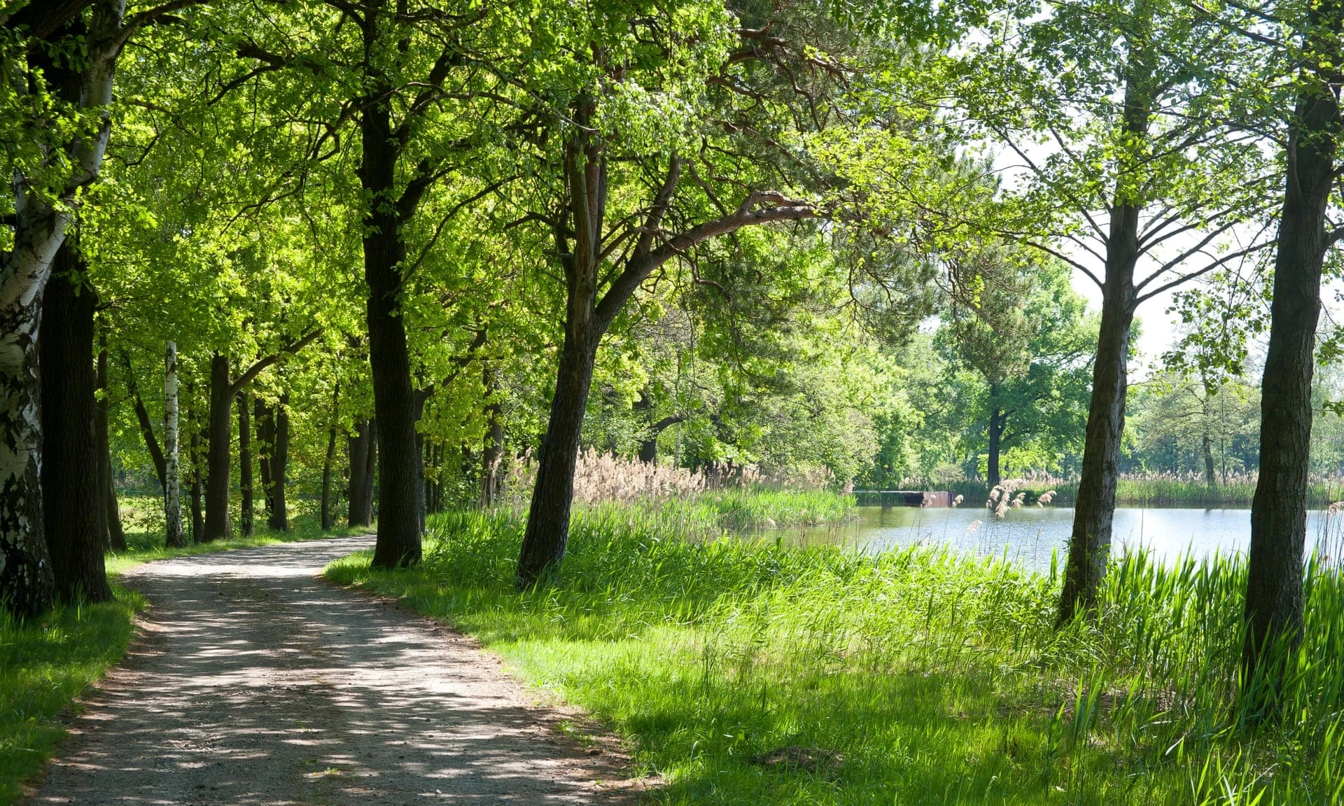 Лусатия, фотография: Alamy