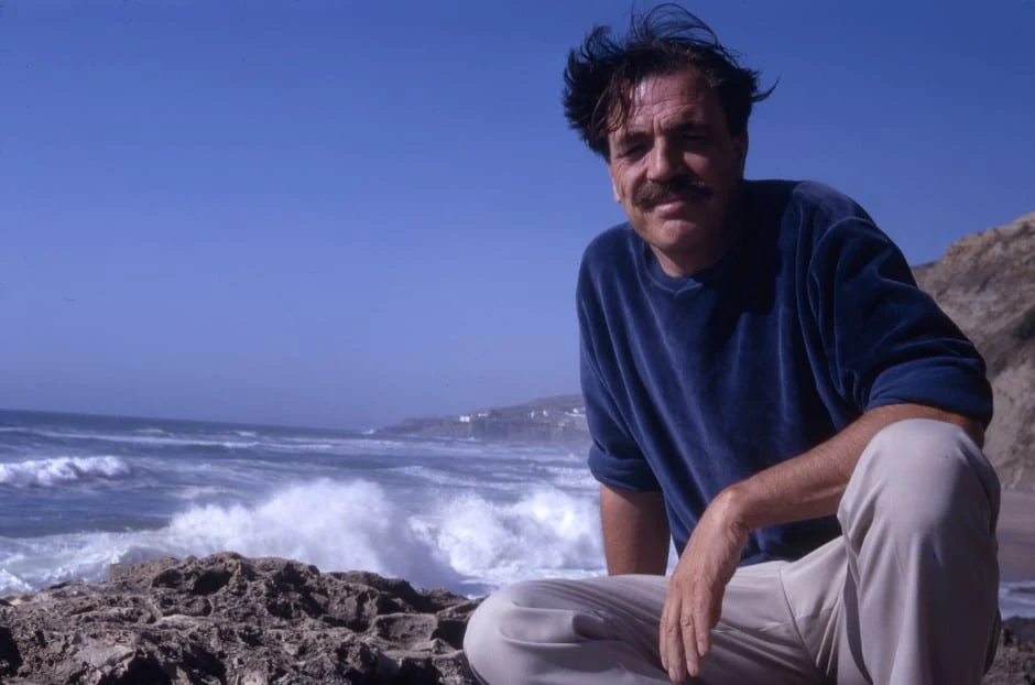 Ян Макхарг и поколения проектирования с природой