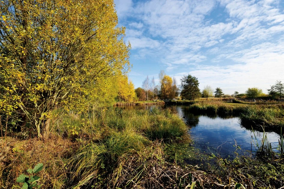 Лондонский центр водно-болотных угодий ©Ron Gilbey