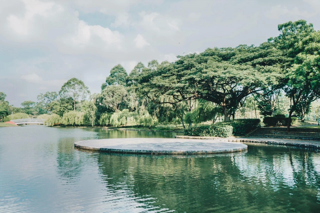 Бишан-Анг Мо Кио Парк, Сингапур