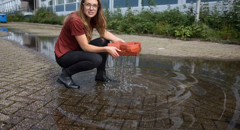 Фин Деккер – молодой инноватор дорожных покрытий