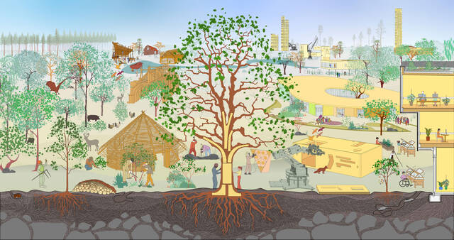 dRMM: Building from Forests (dRMM: Строительство из лесов)