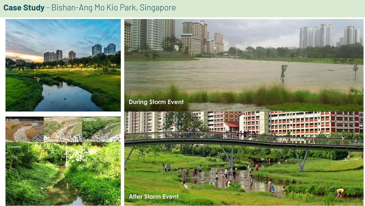 Проект Bishan-Ang Mo Kio Park в Сингапуре: адаптивная территория, аккумулирующая воду во время и после шторма.