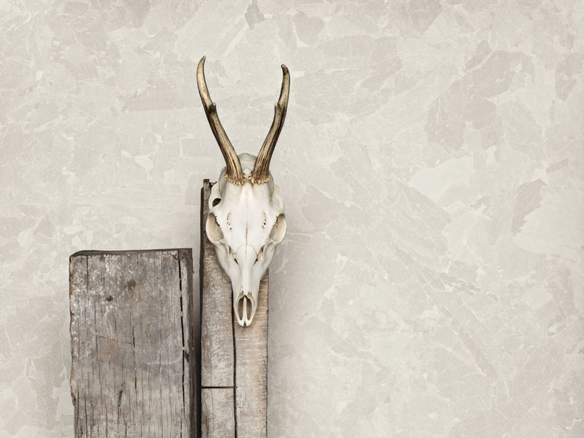 41zero42
SOLO
Porcelain stoneware wall/floor tiles