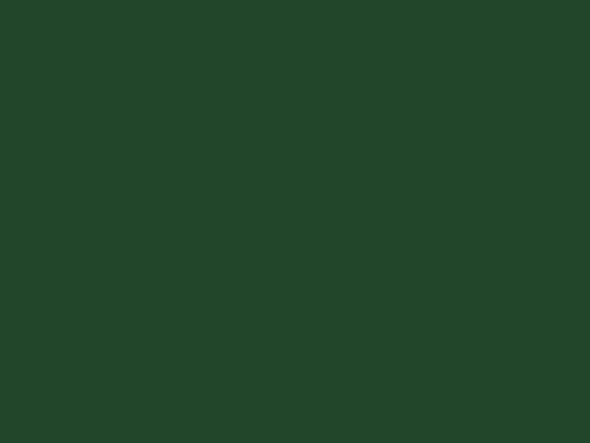 Artesive
BRITISH GREEN MATT
Adhesive PVC furniture foil
