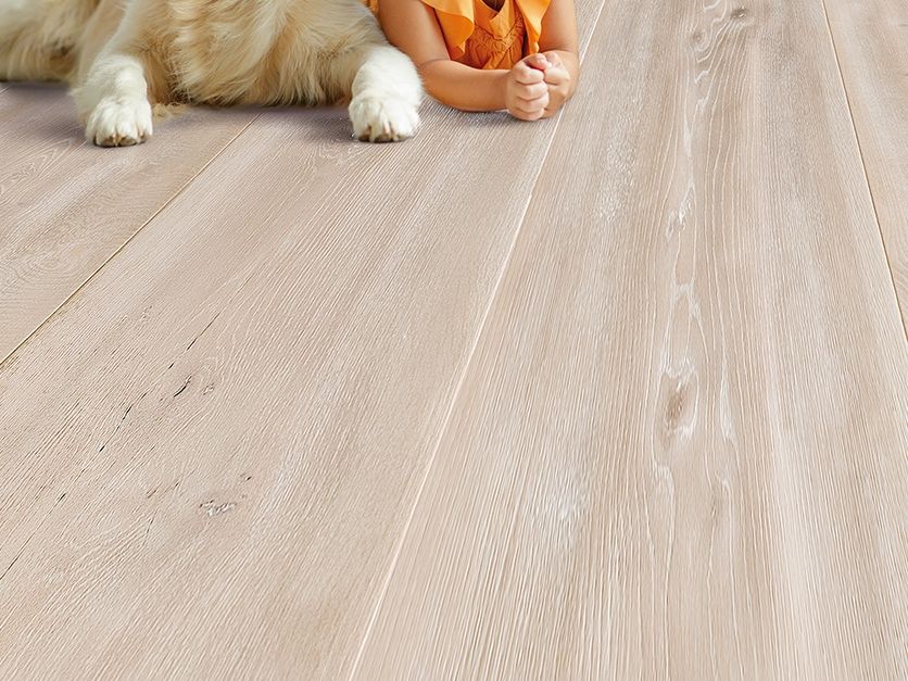 CP Parquet
Sanitised varnish
Wood treatment
