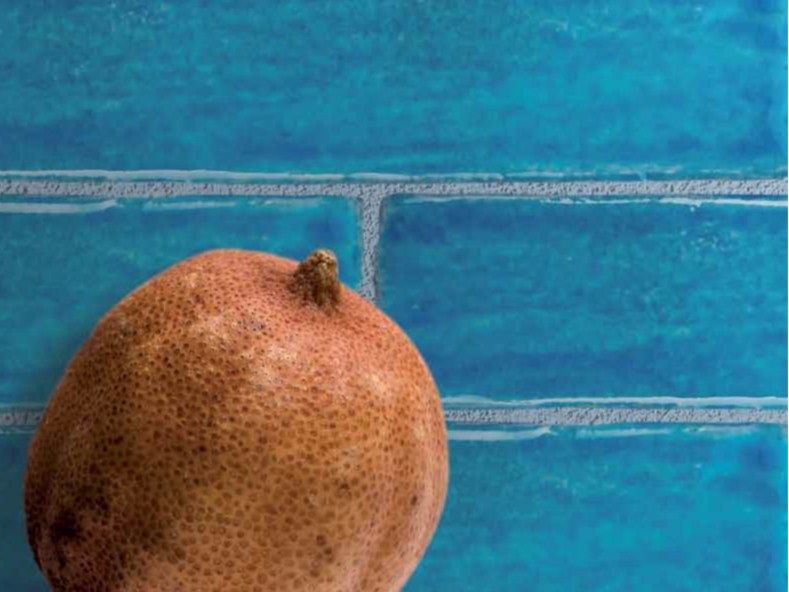 Danilo Ramazzotti
MARE
Faïence wall tiles