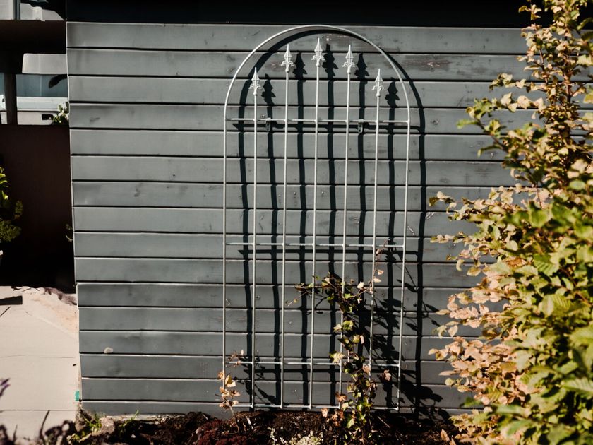 ELEO
EDERA
Wrought iron vertical gardening trellis
