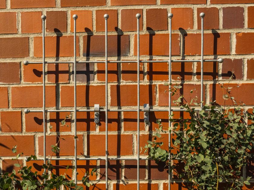 ELEO
TARENT
Wrought iron vertical gardening trellis