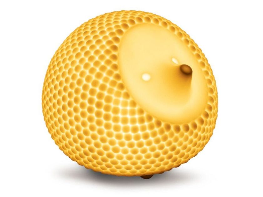 Lladró
HEDGEHOG
Porcelain table lamp with USB charging