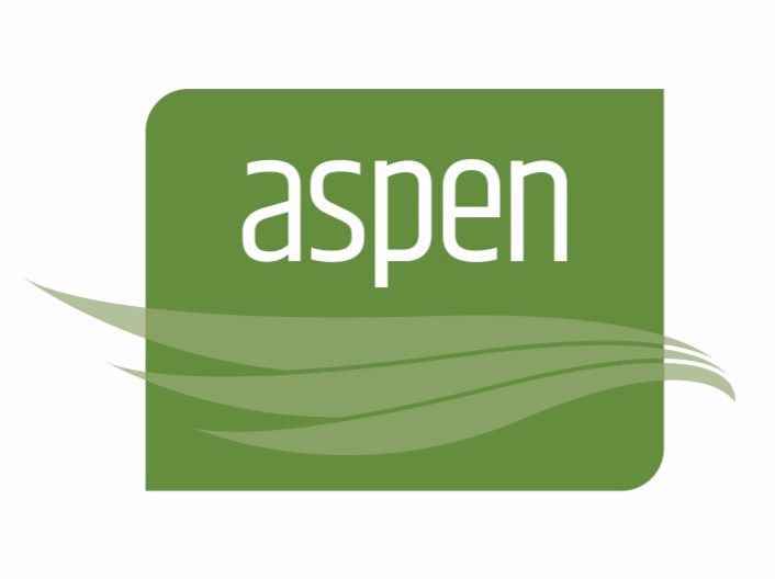 NEWSOFT ASPEN 2000