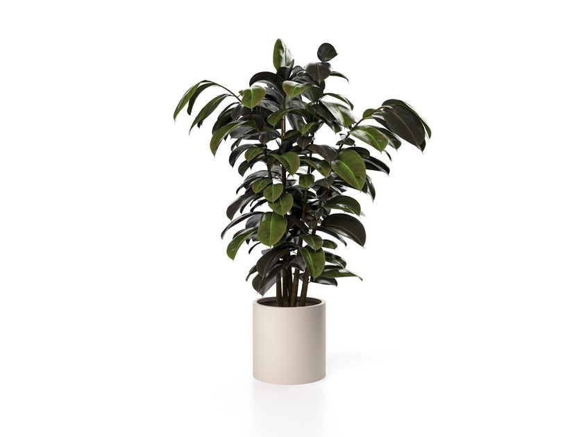 SKLD Studio
VENTUS M
Aluminium planter