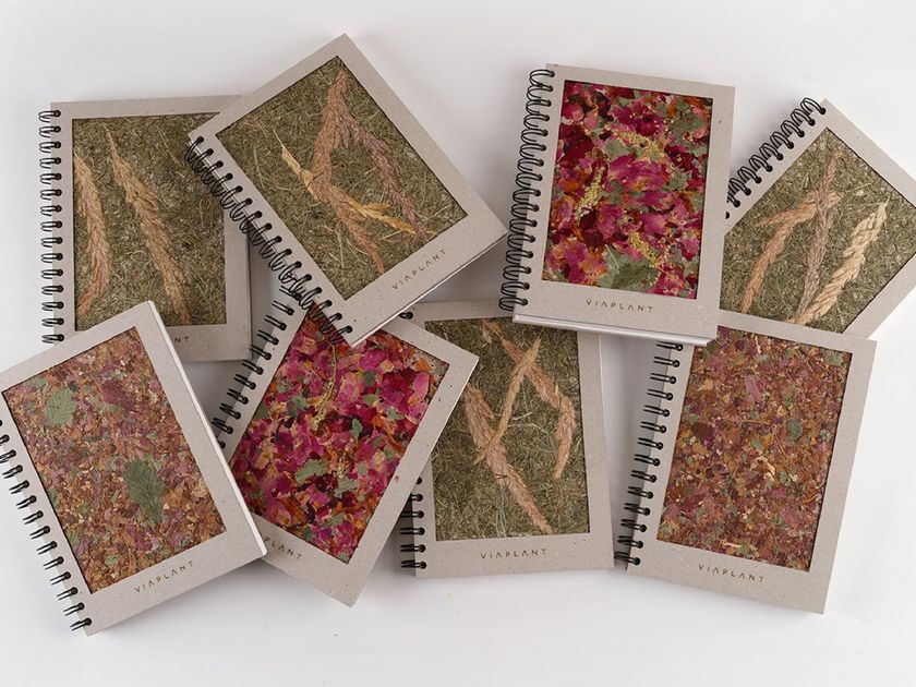 VIAPLANT
VIAPLANT NOTEBOOK
Notebook