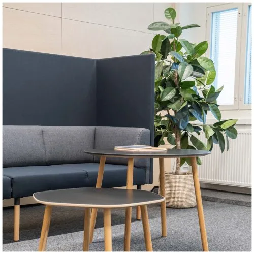 Combi Двухместный диван с задним и боковыми экранами — 8