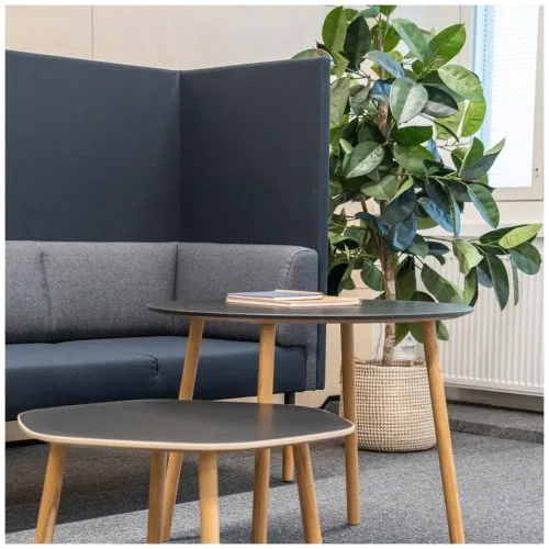 Combi Трехместный диван с задним и боковыми экраном — 10