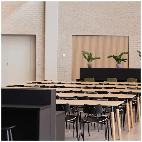 Tuoli 50 Стул — 12