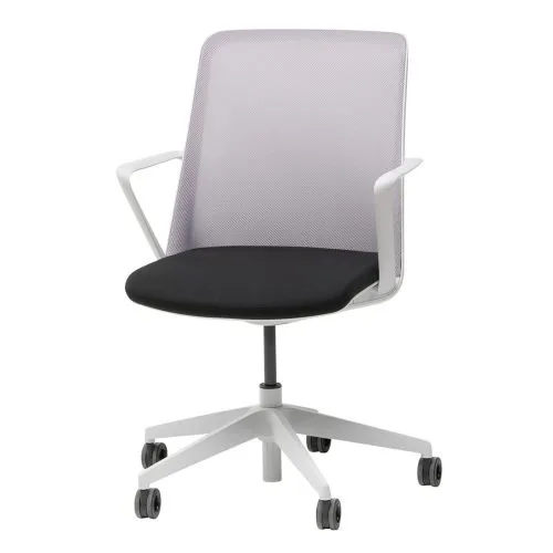 Tutto Meeting — 11